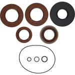 TRANSAXLE SEAL KIT | 25-2141-5