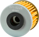 FP OIL FILTER 117 | PS117