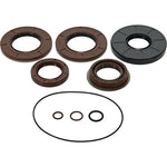 TRANSAXLE SEAL KIT | 25-2141-5