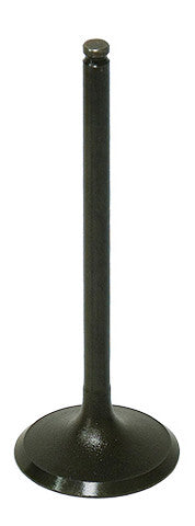 INTAKE VALVE
