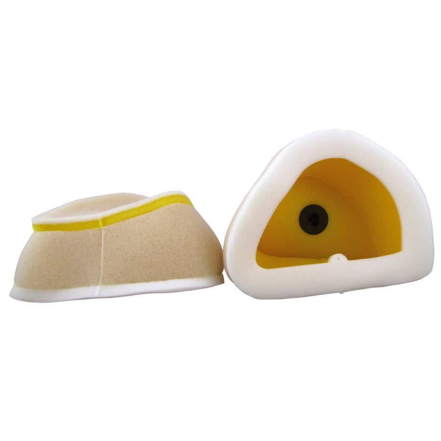 AIR FILTER HON CRF250/450 | 220-09
