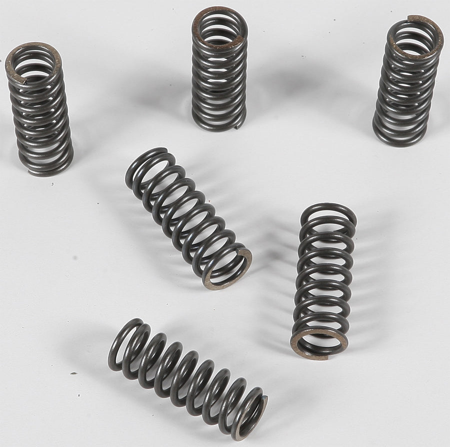 CLUTCH SPRINGS CSK45