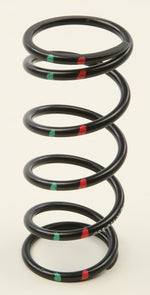H5 Alloy Primary Clutch Spring