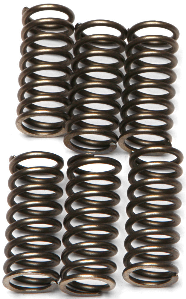 CLUTCH SPRINGS CSK120