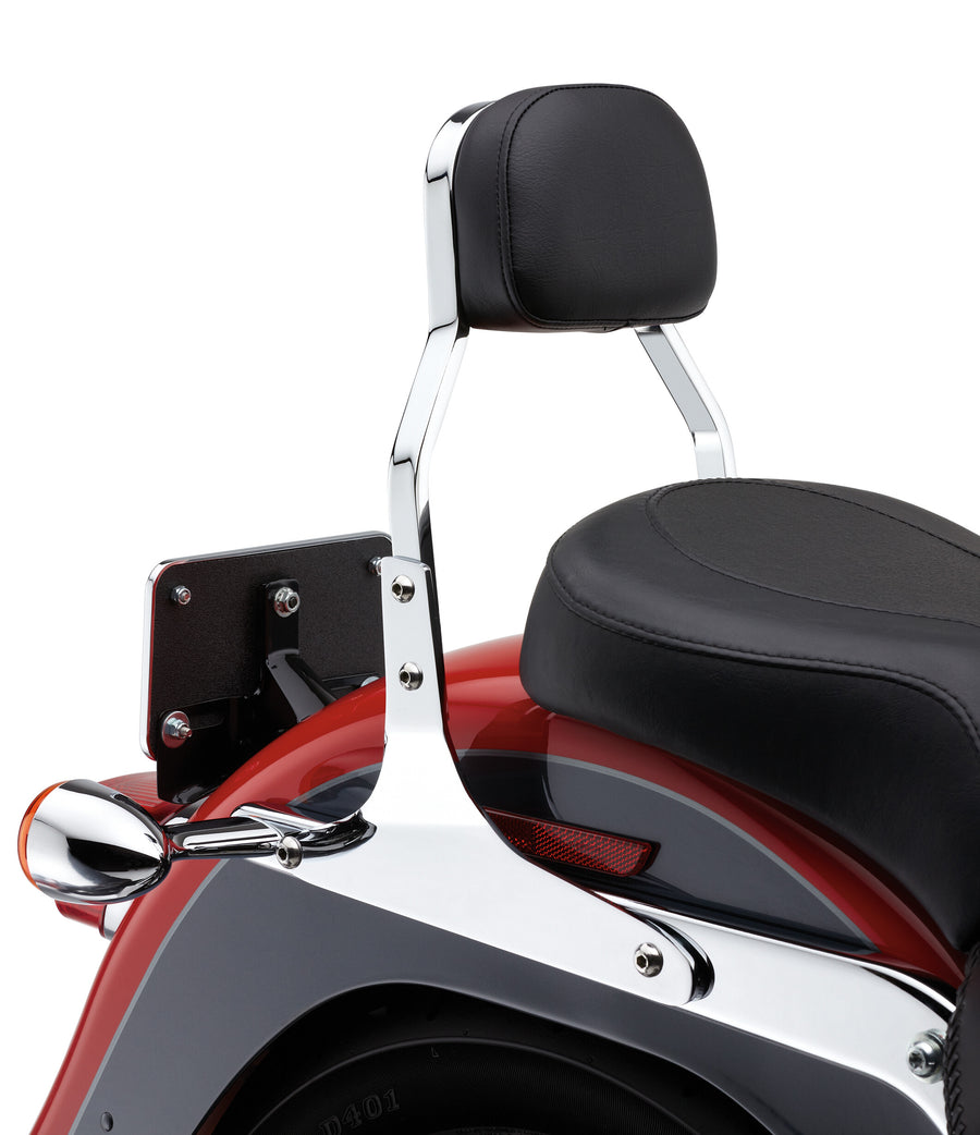 MINI SISSY BAR CHROME FLH/FLT 07-17