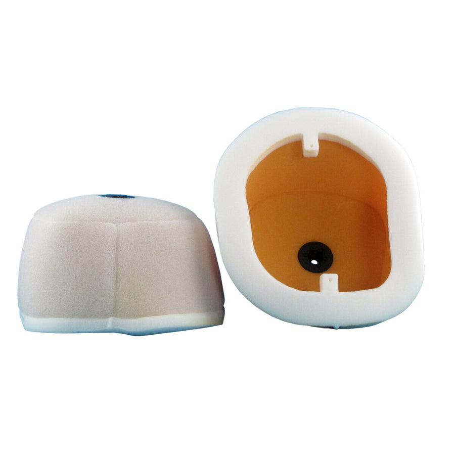 AIR FILTER CRF450 | 120-51