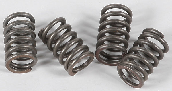 CLUTCH SPRINGS CSK3